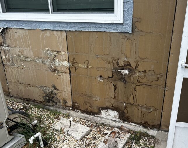 Homeownership Case Study:
Water Damaged Cardboard Behind Previous House Siding

