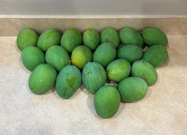 Pile of Mangos